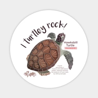 Hawksbill Turtle Magnet